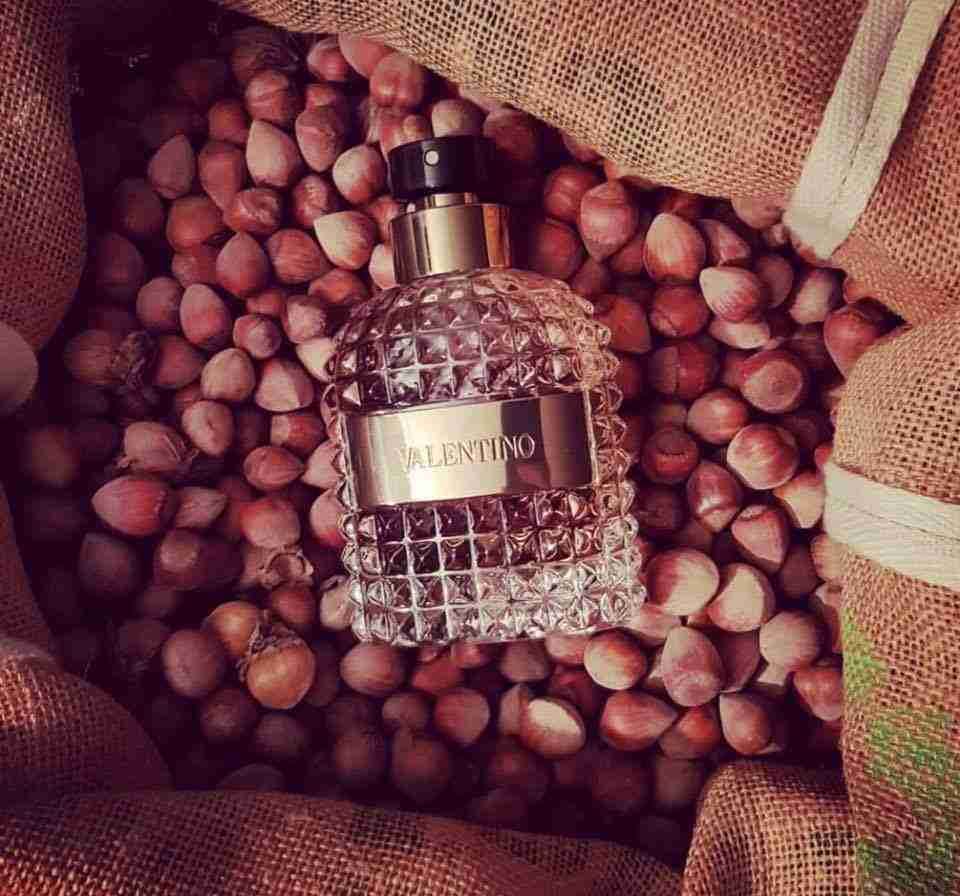 عطور أصلية مكفولة من الحرة بسعر مغري جدا
لا تنسَ أنك شاهدت هذا الإعلان في عنكبوت
عطور اصليه م...