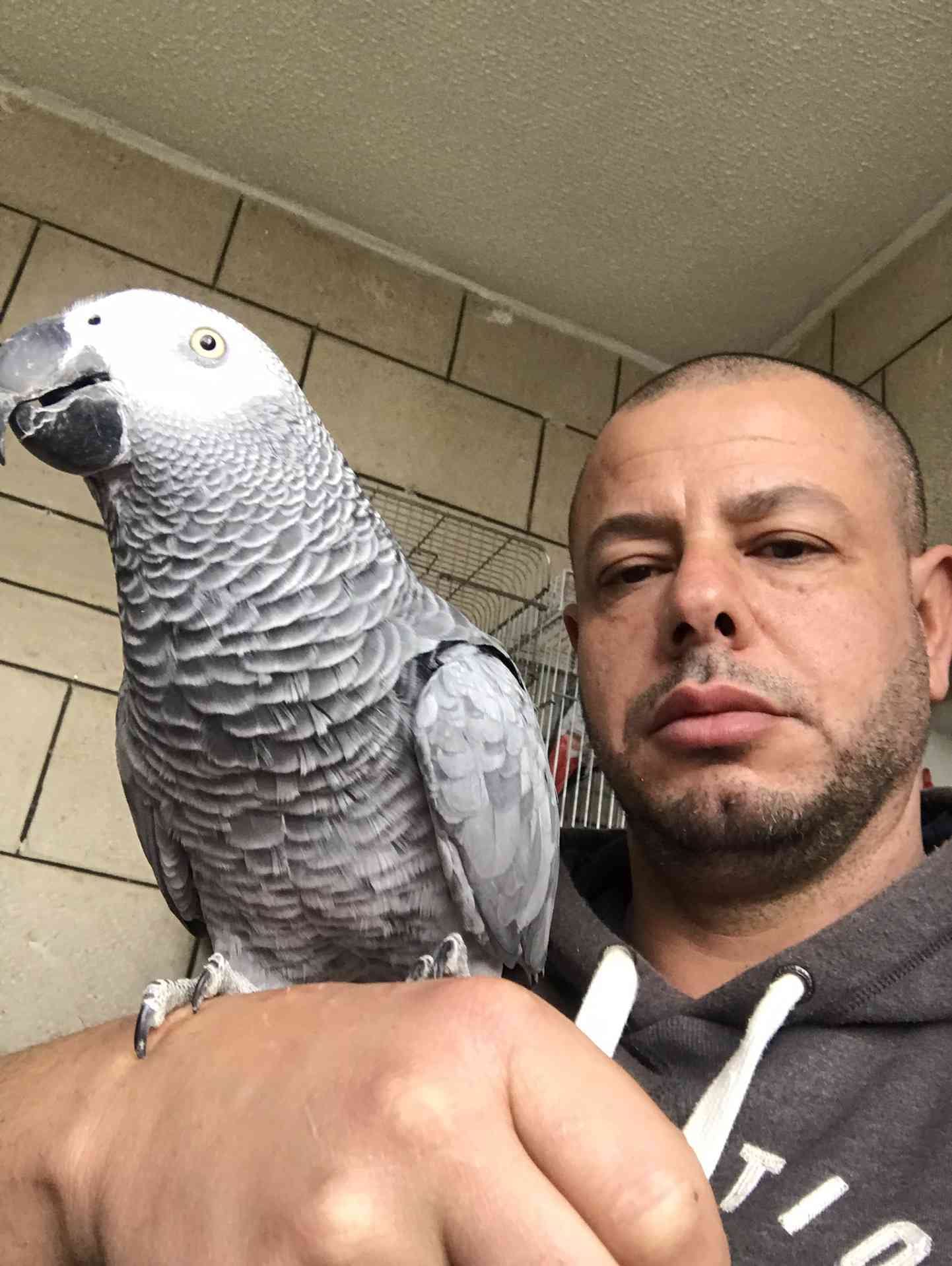 كاسكو لون صدفي اليف متكلم للبيع
لا تنسَ أنك شاهدت هذا الإعلان في عنكبوت
كاسكو عمرو سنه ونص ال...