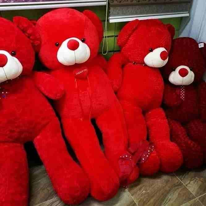 دباديب بأحجام مختلفه وبأسعار منافسه
لا تنسَ أنك شاهدت هذا الإعلان في عنكبوت
تم توفير دباديب بأحجا...