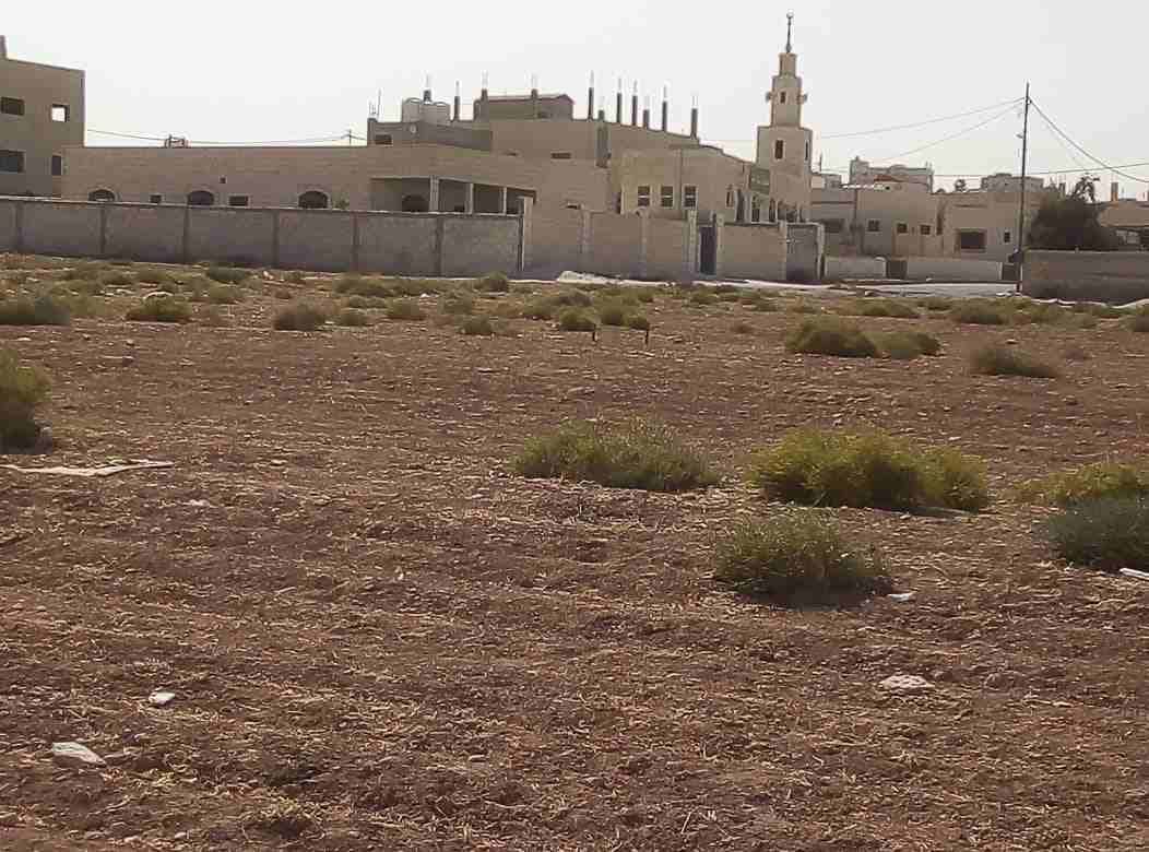 قطع أراضي مفروزة بقواشين مستقلة من المالك مباشرة
لا تنسَ أنك شاهدت هذا الإعلان في عنكبوت
قطع أراض...