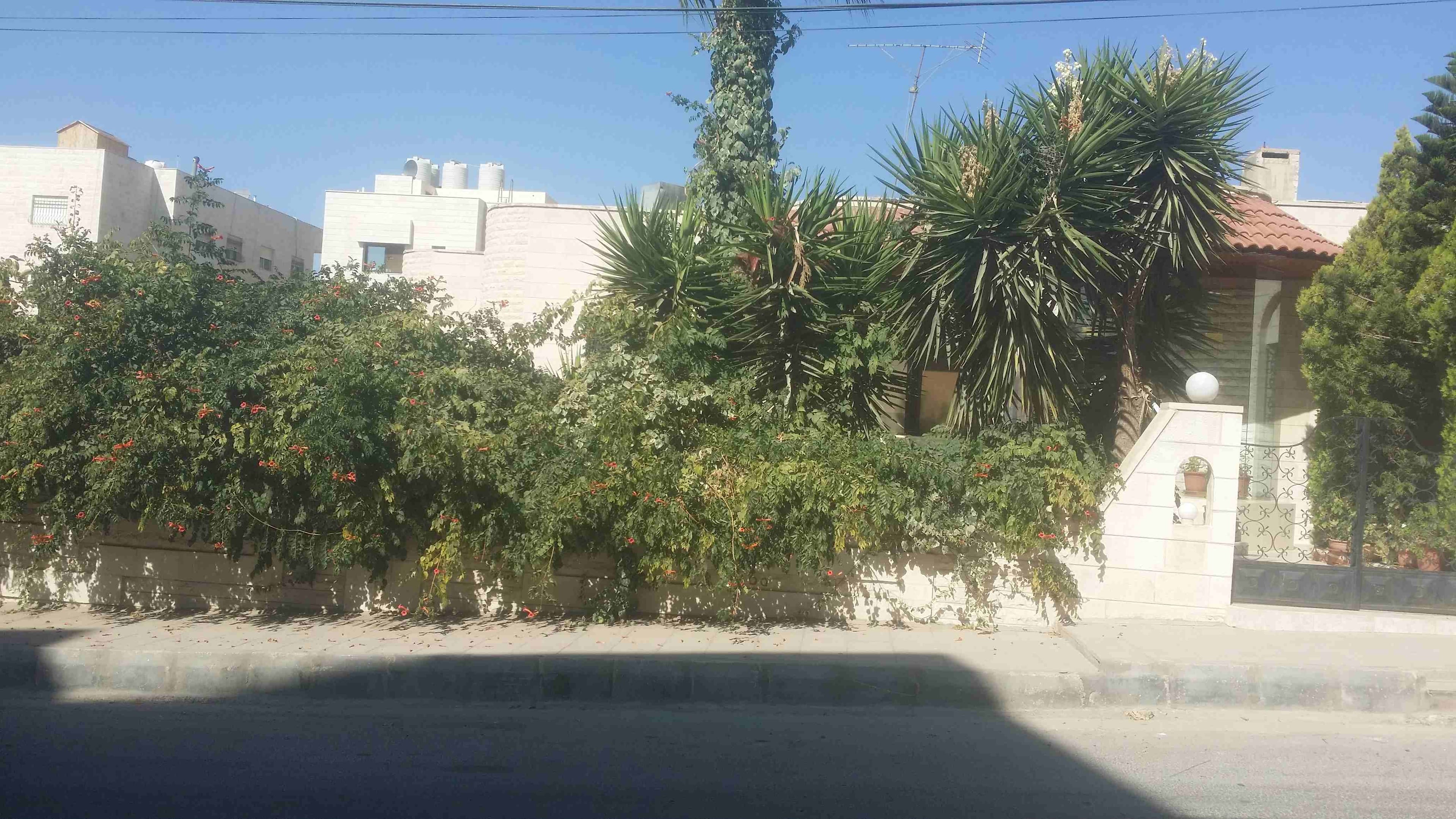 فيلا في طريق المطار خربة سكا
لا تنسَ أنك شاهدت هذا الإعلان في عنكبوت
فيلا فلات 300م على ارض دونم...