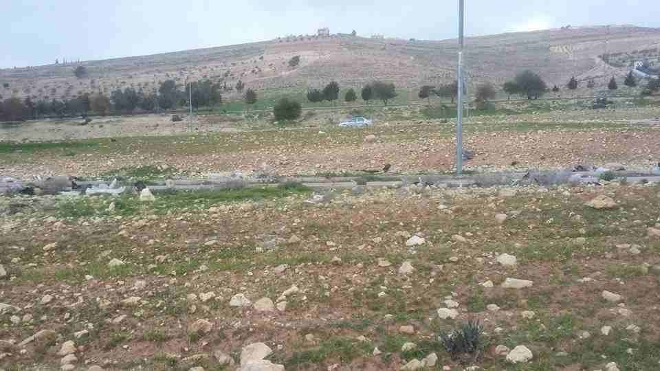 الأردن - عمان
قطعة ارض في موبص/ السفوح الغربي - تبعد 110م عن شارع الأردن
القرية: موبص
حوض: السفوح الغربي
المساحة: 500م
الموقع: تبعد 110م عن شارع الأردن
تبعد 1.3 كم عن تقاطع شارع الأردن مع شارع جر...