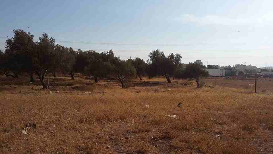 الأردن - عمان
ارض للبيع في الجويدة/ المستندات و ام زعرورة - قرب مسجد ابو بكر الصديق
القرية: الجويدة
حوض: المستندات و ام زعرورة
الموقع: المنطقة الواقعة مقابل نادي الرماية الملكي - قرب مسجد ابو بكر...