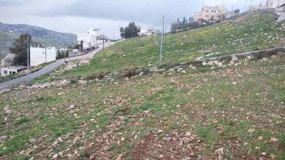 الأردن - السلط
قطعة ارض في السرو - قرب مسجد إسكان طيبة
القرية: السلط
حوض: البشيري
المساحة: 989م
الموقع: تبعد 390م عن مسجد إسكان طيبة
واجهة على الشارع 33.5م، طول 30م
شارع 12م
التصنيف: سكن أ
ال...