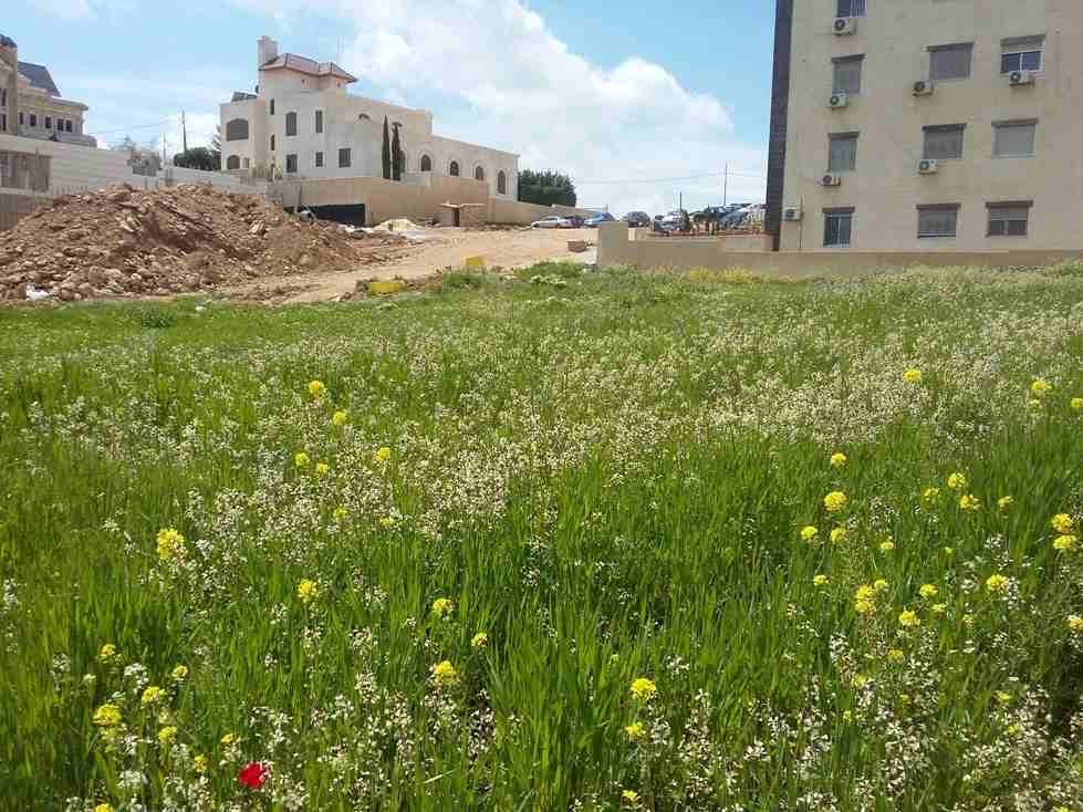 الأردن - عمان
قطعة ارض في شفا بدران/ مرج الاجرب - قرب مؤسسة الغذاء و الدواء
القرية: بدران
حوض: مرج الاجرب
المساحة: 1021م
الموقع: تبعد 225م عن مؤسسة الغذاء و الدواء
واجهة أمامية على الشارع 34م، ط...