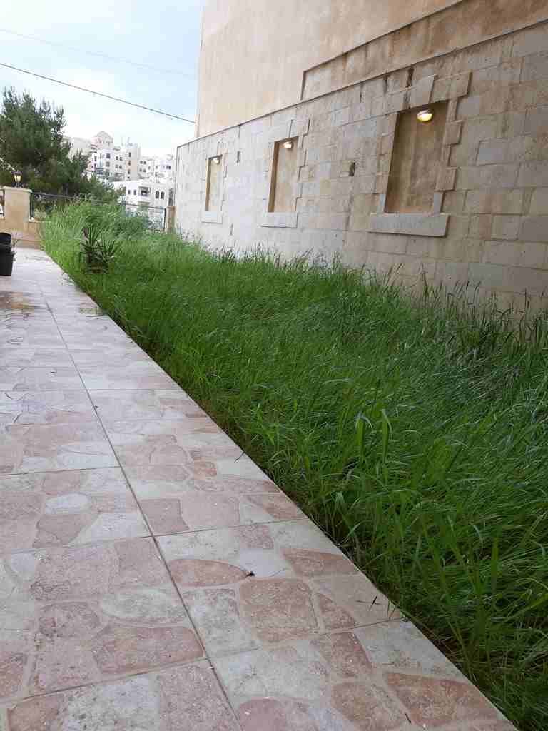 تلاع العلى موقع رائع أرضية دوبلكس درج داخلى مساحتها 262م طابق أرضى وأول 4نوم 4حمام صالون سفرة معيشة مطبخ راكب رخام زجاج دبل جلاس تدفئة ومكيف غرفة خادمة مع حمام وكراج ومصعد بناء 5سنوات بسعر 185ألف نهائ...