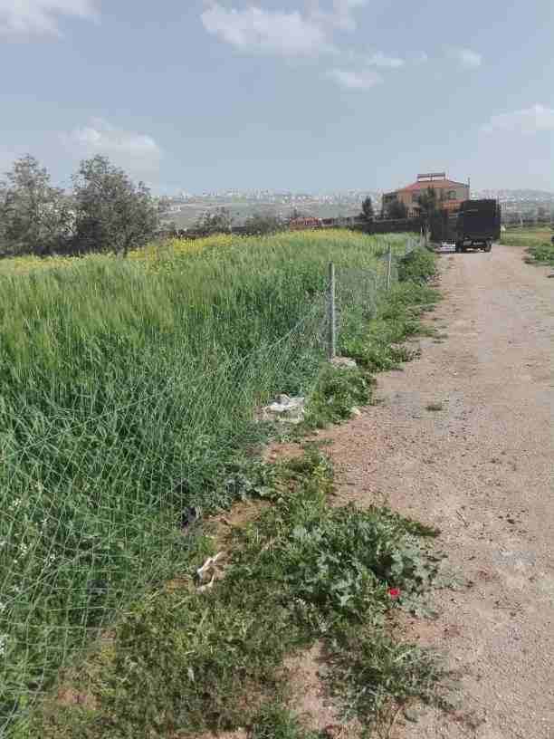 الارض بشارع الاردن من اراضي قريه ابو نصير بجانب اسكان المهندسين رقم القطعه 939 ام رجم ومرج الصانع حوض 6 ابو نصير القريه ويوجد بجانبها فيلا الكوشان مشترك السعر 30000 من الاخر للجادين من المالك مباشر
0...
