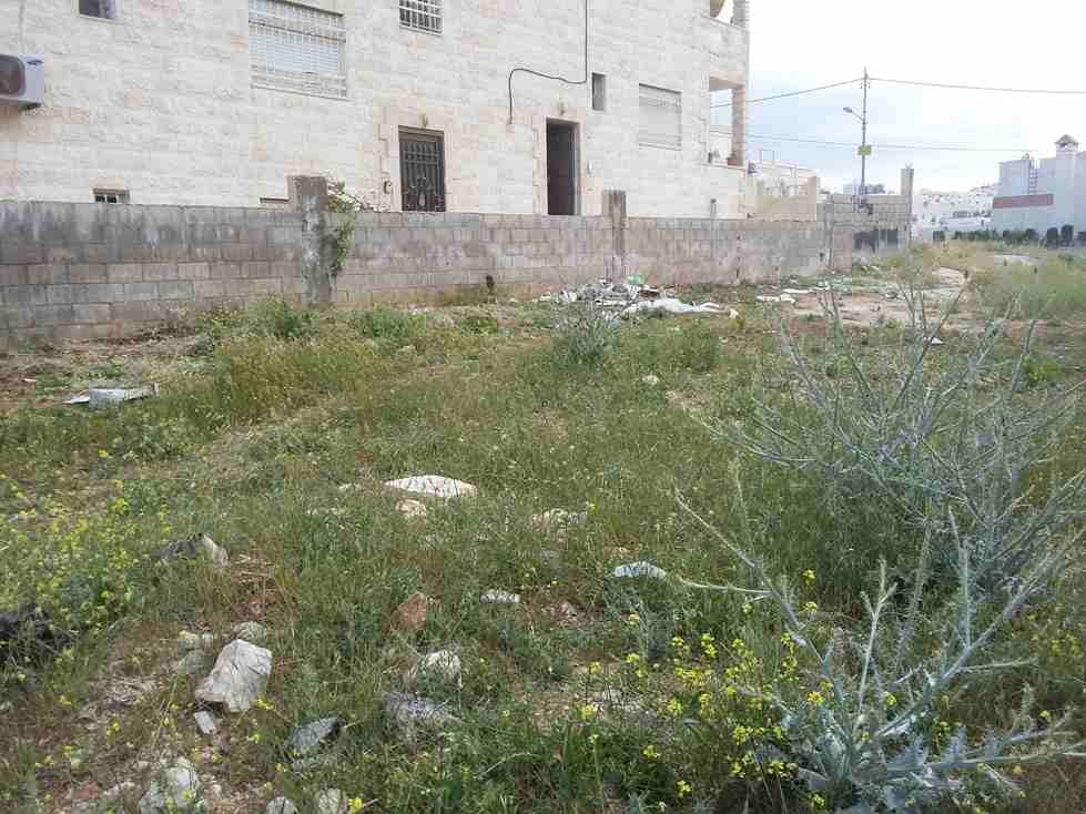 الأردن - عمان
قطعة ارض في اليادودة/ إسكان الأمانة - خلف مسجد الرحمة
القرية: اليادودة
حوض: الحنو
المساحة: 402م
الموقع: اليادودة/ إسكان الأمانة - خلف مسجد الرحمة ب65م
تبعد 380م عن أكاديمية سنمار ال...