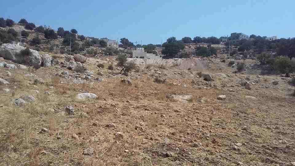 الأردن - الزرقاء
قطعة ارض في جريبا - قرب مسجد التوحيد
القرية: جريبا
حوض: مذبح البعير
المساحة: 445م
الموقع: تبعد 130م عن مسجد التوحيد، 950م عن طريق ياجوز
التصنيف: سكن ج
واجهة على شارعين 26م، 16م...