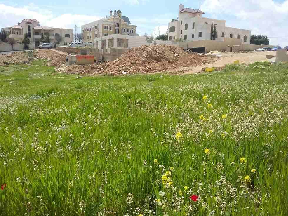 الأردن - عمان
قطعة ارض في شفا بدران/ مرج الاجرب - قرب مؤسسة الغذاء و الدواء
القرية: بدران
حوض: مرج الاجرب
المساحة: 1021م
الموقع: تبعد 225م عن مؤسسة الغذاء و الدواء
واجهة أمامية على الشارع 34م، ط...