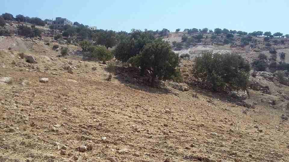 الأردن - الزرقاء
قطعة ارض في جريبا - قرب مسجد التوحيد
القرية: جريبا
حوض: مذبح البعير
المساحة: 445م
الموقع: تبعد 130م عن مسجد التوحيد، 950م عن طريق ياجوز
التصنيف: سكن ج
واجهة على شارعين 26م، 16م...