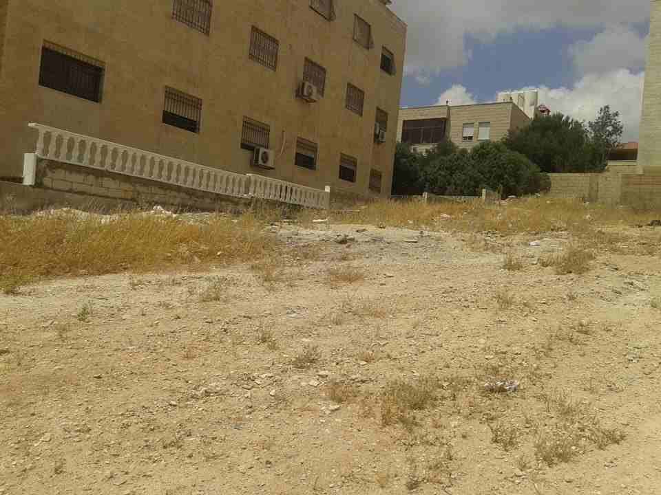 الأردن - عمان
قطعة ارض في شارع ياجوز/ منطقة الكوم - تبعد 830م عن المؤسسة العامة للغذاء و الدواء
القرية: ياجوز
حوض: تلعة نمر
المساحة: دنم كامل
الموقع: تبعد 830 كم عن المؤسسة العامة للغذاء و الدواء...