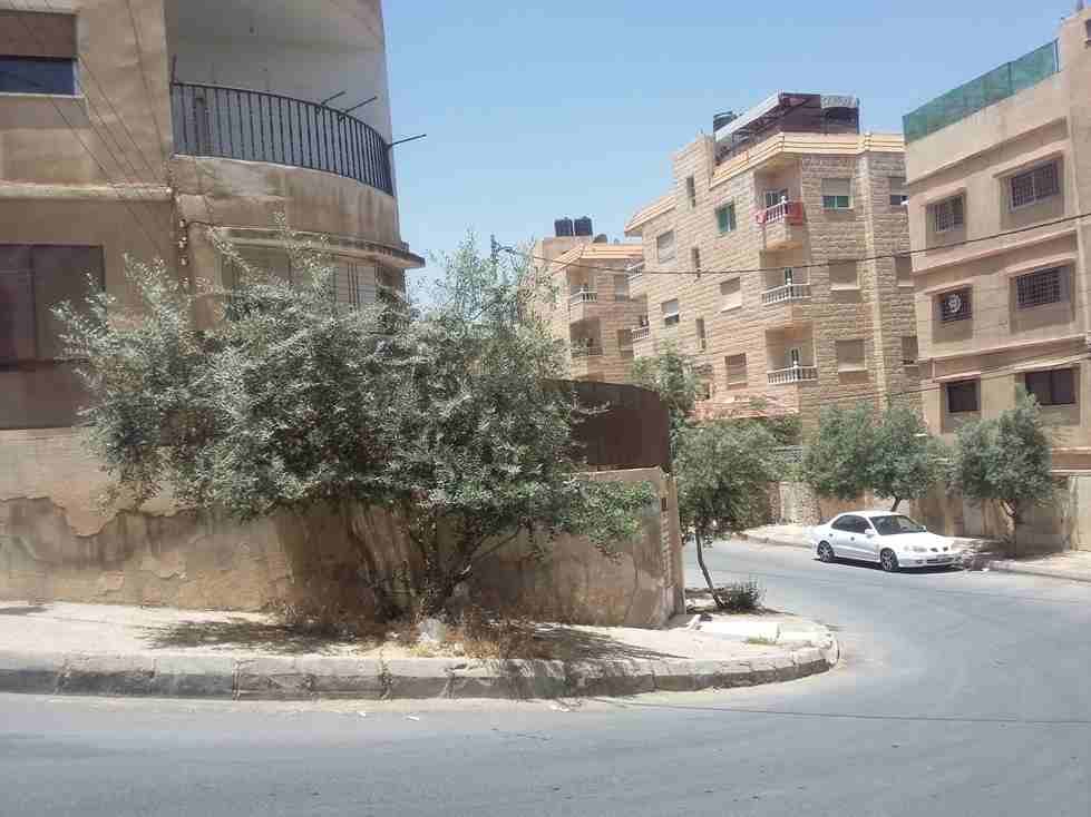 الأردن - عمان
قطعة ارض في الهاشمي الشمالي - قرب حديقة الأمير هاشم بن الحسين
القرية: النويجيس
حوض: خنيفسة
المساحة: 511م
**عليها بناء قديم مكون من 3 طوابق
الموقع: الهاشمي الشمالي - تبعد 280م عن حد...