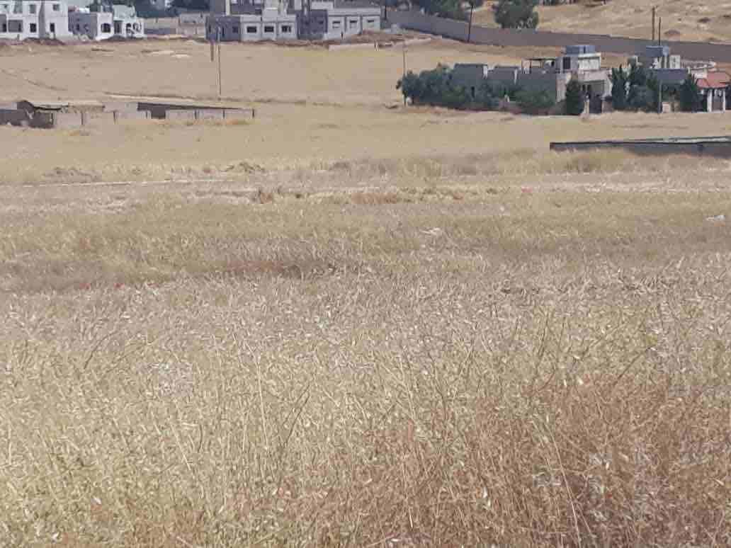 قطع اراضي بالاقساط في جاوا
٥٠٠ متر واصل كهرباء و ماء و شوارع
بدفعة ٧٠٠٠ وقسط شهري مغري
للاستفسار:
٠٧٨٥١٢٣١٢٦
٠٧٩٦٦٦٠٩٢٥