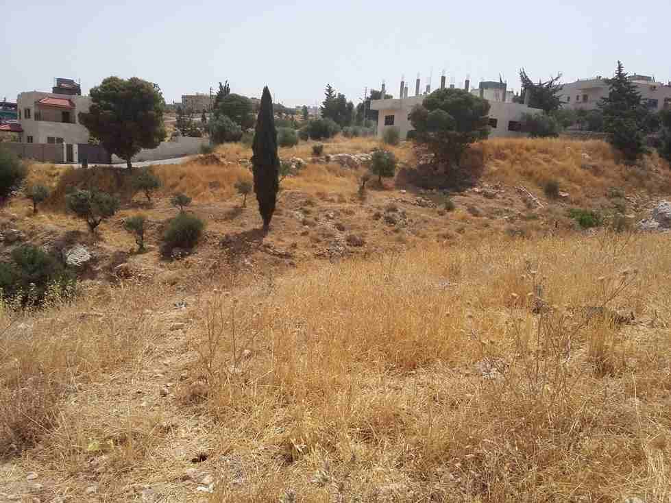 الأردن - عمان
قطعة ارض في قرية أبو نصير - قرب مسجد أبو نصير
القرية: أبو نصير
حوض: أم بطمة
المساحة: 750م
الموقع: قرية أبو نصير - تبعد 210م عن مسجد أبو نصير
واجهة على الشارع 25.5م، طول 29م
شارع 1...