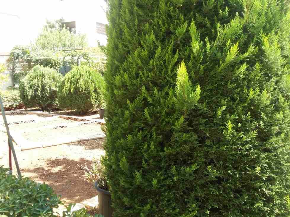 الأردن - عمان
قطعة ارض في ضاحية الحاج حسن - قرب مجمع الجنوب
القرية: عمان
حوض: ام صويوينة الجنوبي
المساحة: 580م
الموقع: ضاحية الحاج حسن - تبعد 450م عن مجمع الجنوب
واجهةعلى الشارع 21م، طول 29م
شا...
