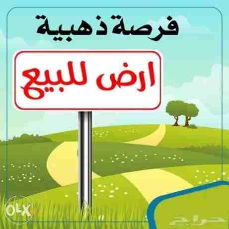 قطعة أرض مميزة للبيع في شفا بدران حوض ام العروق بجانب إسكان المهندسين شارعين مساحة ٧٥٠ متر بسعر مغري ٧٥ الف فقط لاغير لقطة
للمراجعة : ٠٧٩١٨٨٩٠٤١
http://almuhandesestat.site123.me/