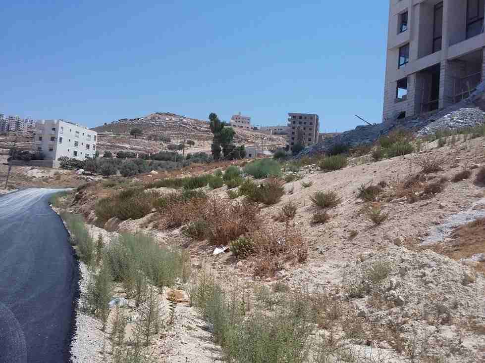 الأردن - عمان
قطعة ارض في صافوط/ مرج البير - تحت قصر الأميرة بسمة ب660م
القرية: صافوط
حوض: مرج البير
المساحة: 589م
الموقع: صافوط/ مرج البير - تحت قصر الأميرة بسمة ب660م
واجهتين على الشارع 27م، ط...