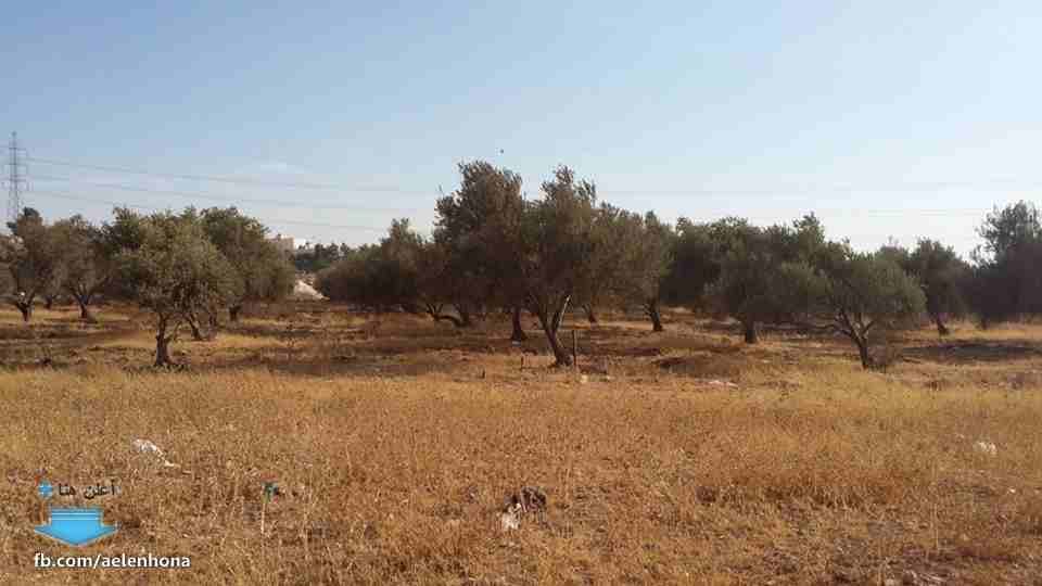 الأردن - عمان
ارض للبيع في الجويدة/ المستندات و ام زعرورة - قرب مسجد ابو بكر الصديق
*ضمن أراضي جنوب عمان
القرية: الجويدة
حوض: المستندات و ام زعرورة
الموقع: المنطقة الواقعة مقابل نادي الرماية المل...