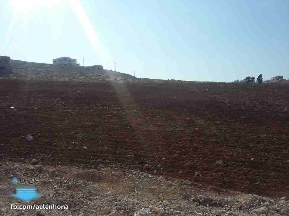 الأردن - عمان
قطعتي ارض متجاورتين في جريبا/ جوفة ذياب - تبعد 520م عن مسجد أبو بكر الصديق
مع إمكانية التقسيط لمدة سنة كاملة
*ضمن أراضي محافظة الزرقاء
القرية: جريبا
حوض: جوفة ذياب
الموقع: جريبا/ ج...