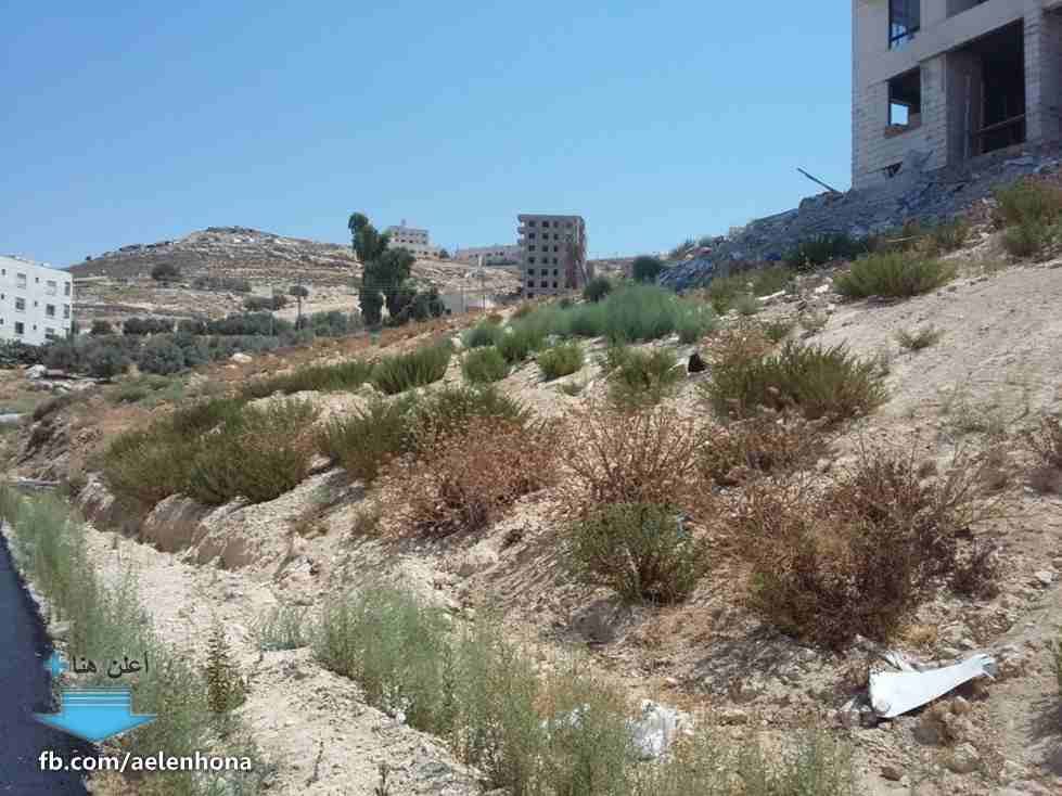 الأردن - عمان
قطعة ارض في صافوط/ مرج البير - تحت قصر الأميرة بسمة ب660م
*ضمن أراضي شمال عمان
القرية: صافوط
حوض: مرج البير
المساحة: 589م
الموقع: صافوط/ مرج البير - تحت قصر الأميرة بسمة ب660م
واج...