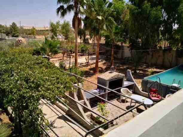 مزرعه فاخره جدا للبيع بعد طريق المطار ب 15 كيلو مساحتها 10 دونم بالقرب من الخدمات منطقه هادئه وجميله منطقه العامريه ومشجره بأكملها أشجار الزيتون ونخيل للبيع بسعر مغري جداً بداعي السفر للاستفسار 079950...
