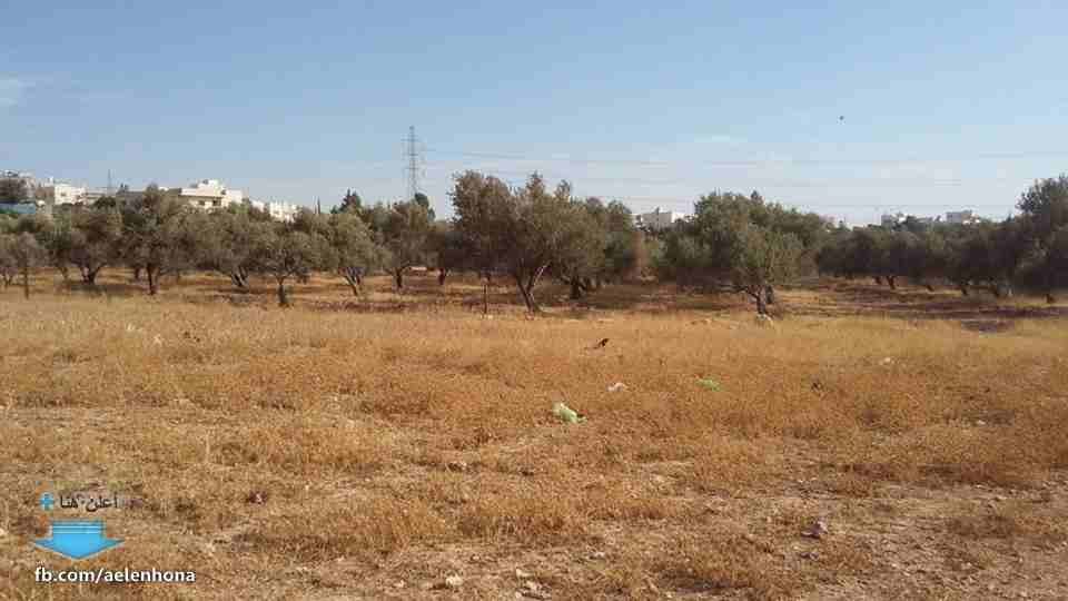 الأردن - عمان
ارض للبيع في الجويدة/ المستندات و ام زعرورة - قرب مسجد ابو بكر الصديق
*ضمن أراضي جنوب عمان
القرية: الجويدة
حوض: المستندات و ام زعرورة
الموقع: المنطقة الواقعة مقابل نادي الرماية المل...