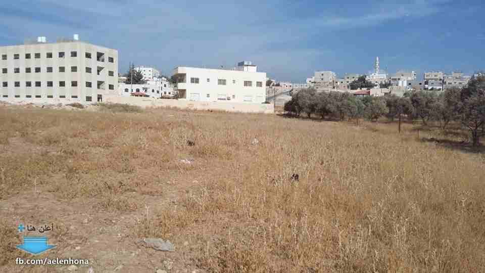 الأردن - عمان
ارض للبيع في الجويدة/ المستندات و ام زعرورة - قرب مسجد ابو بكر الصديق
*ضمن أراضي جنوب عمان
القرية: الجويدة
حوض: المستندات و ام زعرورة
الموقع: المنطقة الواقعة مقابل نادي الرماية المل...