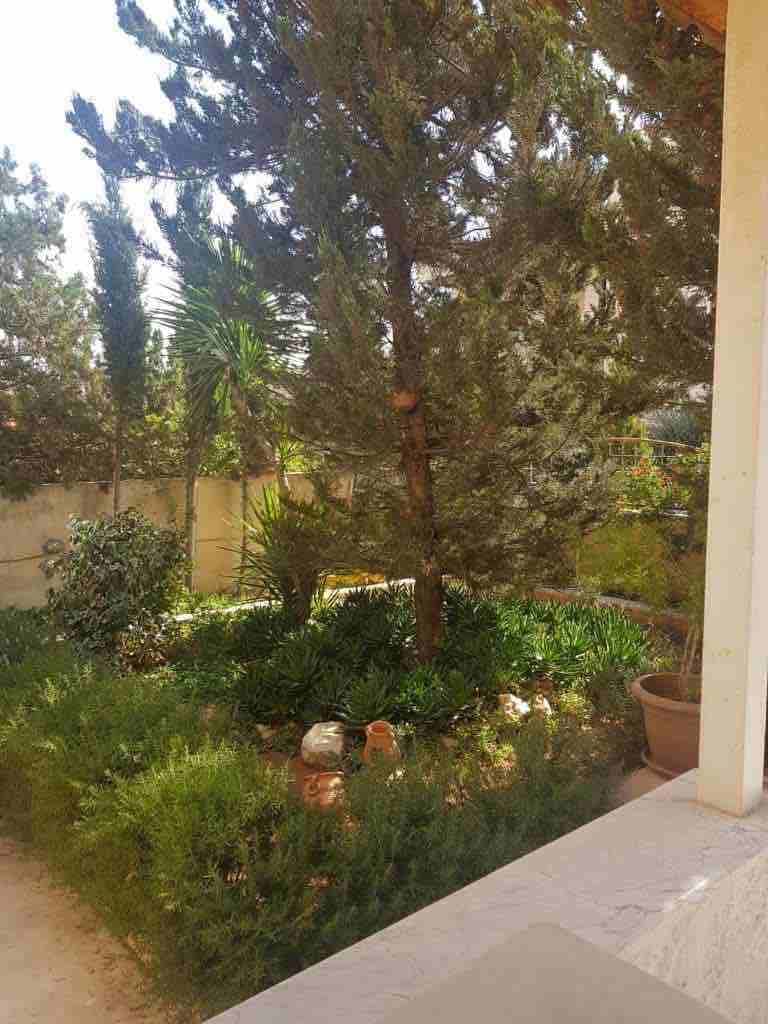 شبه فيلا للبيع في ضاحية الرشيد مكونة من طابقين وفي الطابق الثالث غرفة نوم ماستر وسطح مبلط ويجد حديقة في الطابق الثاني و يوجد حديقة اماميه مع نافورة وكراج معطى يتسع لي ثلاث سيارات
متوفر تدفئة وسخان شم...
