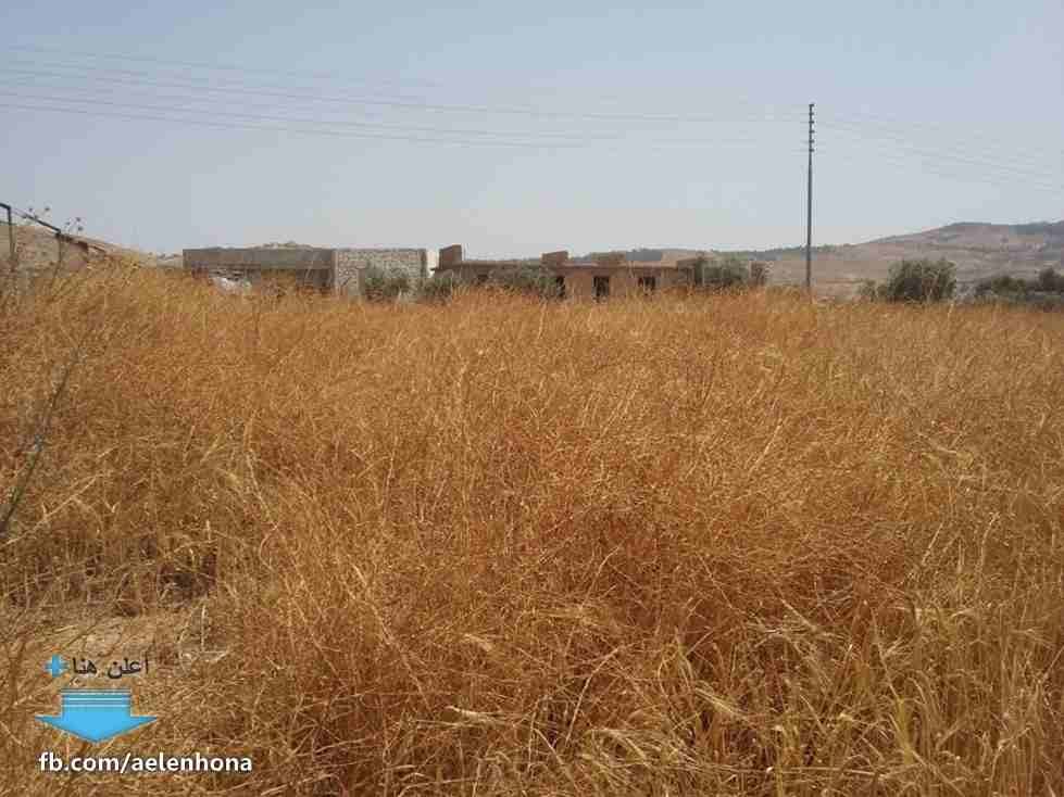 الأردن - عمان
قطعة ارض في موبص - تبعد 750م عن تقاطع شارع عمان جرش مع شارع الأردن
*ضمن أراضي شمال عمان
القرية: موبص
حوض: سنينة النصارى
المساحة: 600م
الموقع: موبص - تبعد 750م عن تقاطع شارع عمان جر...