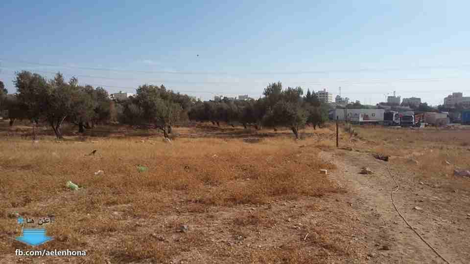 الأردن - عمان
ارض للبيع في الجويدة/ المستندات و ام زعرورة - قرب مسجد ابو بكر الصديق
*ضمن أراضي جنوب عمان
القرية: الجويدة
حوض: المستندات و ام زعرورة
الموقع: المنطقة الواقعة مقابل نادي الرماية المل...