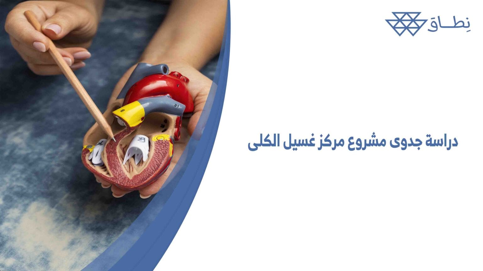 دراسة الجدوى من شركة نطاق لدراسات الجدوى احترافية ودقة وسرعة